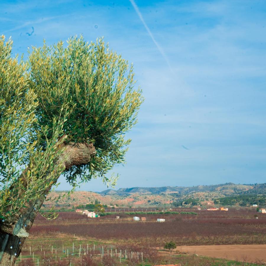 Bed and Breakfast Cabezo Buñuel Calanda Exterior foto